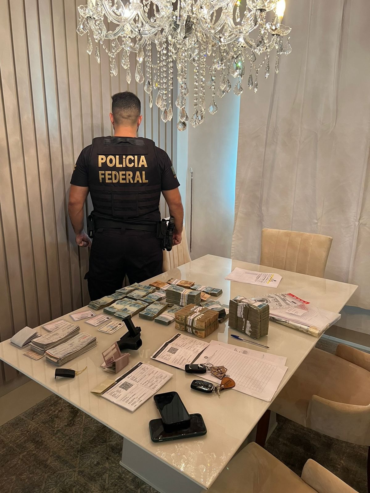 FAKE PLAN: Madeireiros são alvos de operação e PF apreende cinco milhões