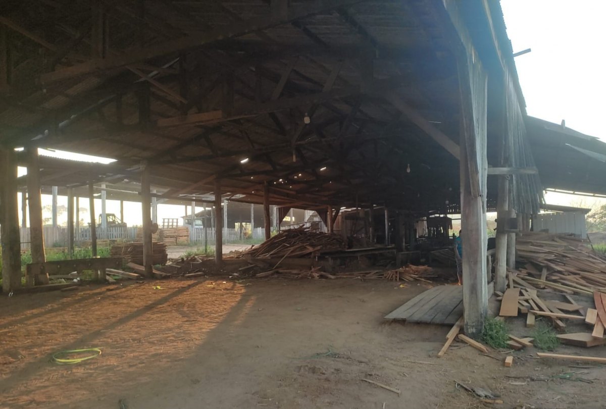 BRASIL MAIS II: PF deflagra operação contra desmatamento ilegal em Rondônia