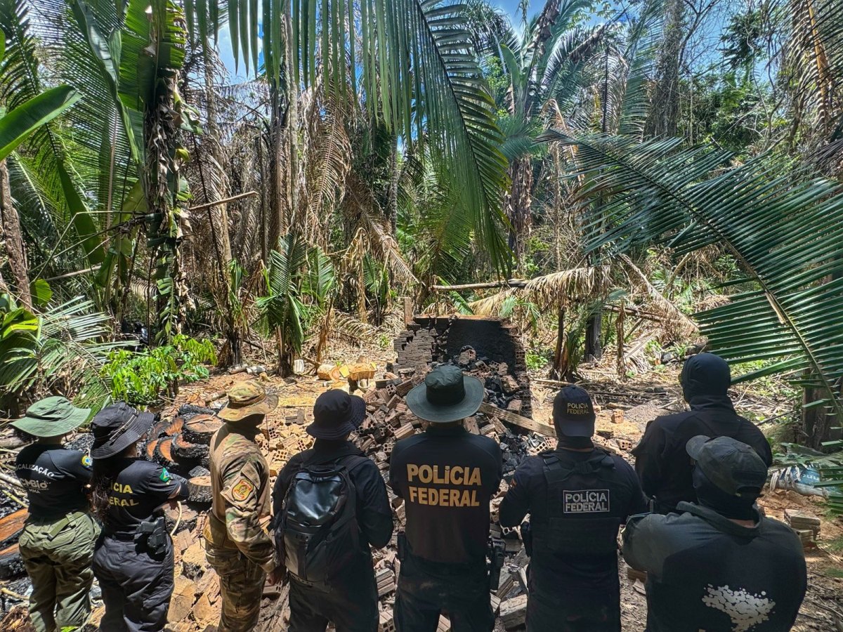 JACAÚNA: Operação da PF combate desmatamento ilegal em Reserva Extrativista