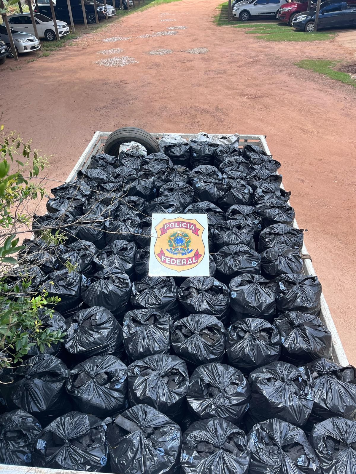 JACAÚNA: Operação da PF combate desmatamento ilegal em Reserva Extrativista