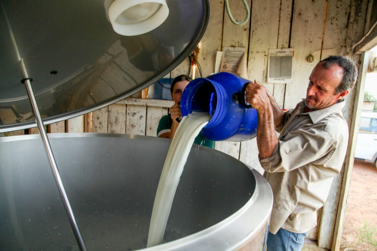 RANKING: Rondônia se torna líder da região Norte na produção de leite, diz Marcos Rocha