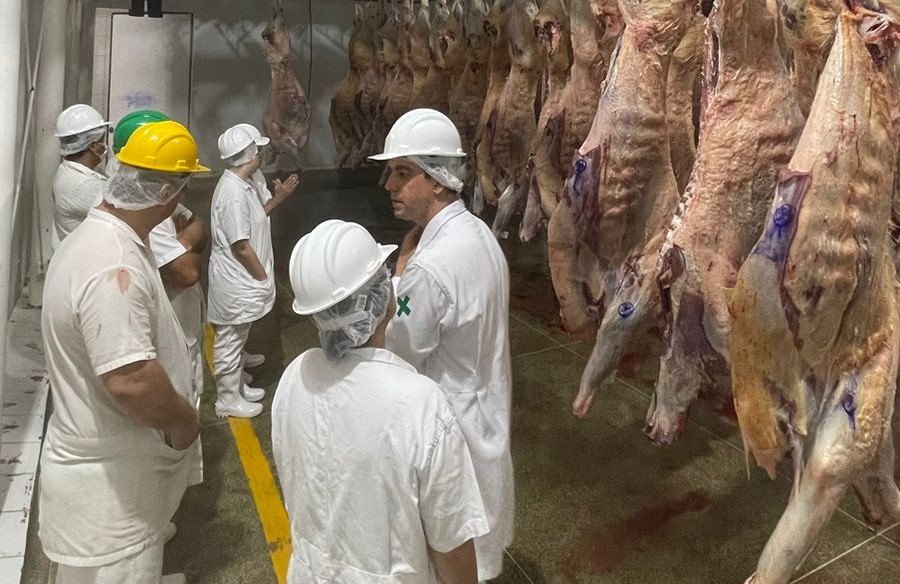 DIA DO PECUARISTA: Marcos Rocha celebra qualidade e competitividade da carne bovina de Rondônia
