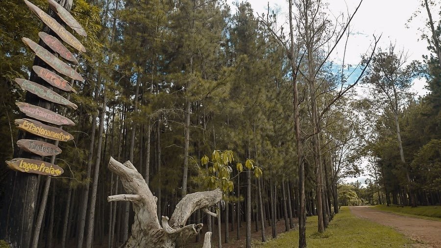 FIM DE SEMANA: Salsalito Jungle Park destino imperdível para lazer em Rondônia