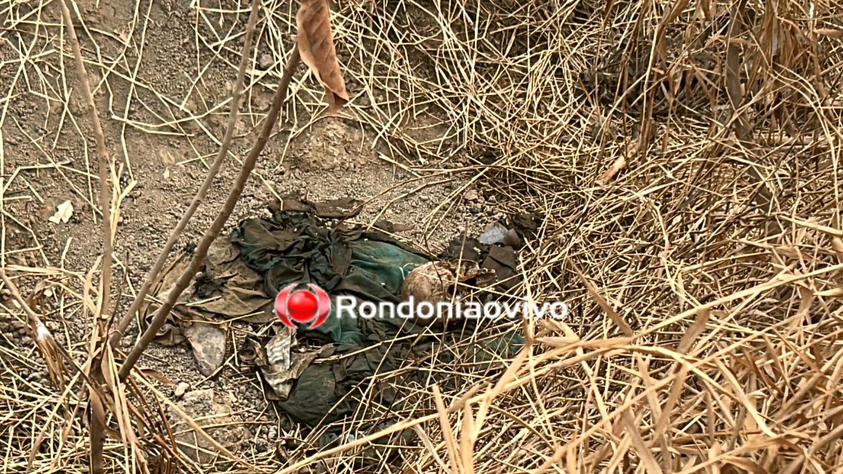 VÍDEO: Homicídios tenta identificar ossada humana encontrada em vala