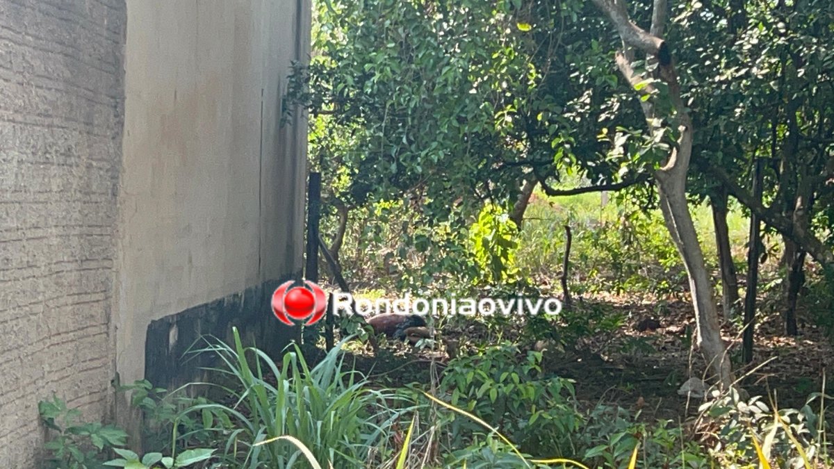 VÍDEO: 'Aqui é CV, aqui é CV', dizem criminosos após execução de homem na zona Leste 