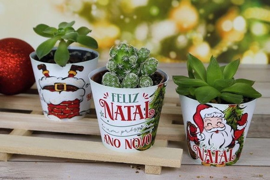 VIVEIRO FLORA&CIA: Presenteie seus amigos com lindas lembrancinhas personalizadas!