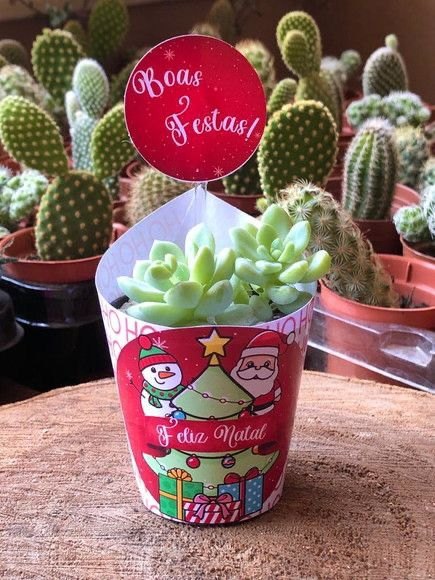 VIVEIRO FLORA&CIA: Presenteie seus amigos com lindas lembrancinhas personalizadas!