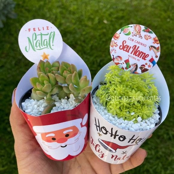 VIVEIRO FLORA&CIA: Presenteie seus amigos com lindas lembrancinhas personalizadas!