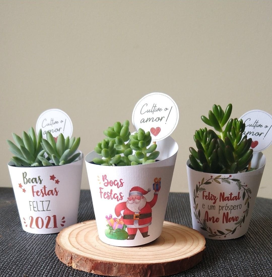 VIVEIRO FLORA&CIA: Presenteie seus amigos com lindas lembrancinhas personalizadas!