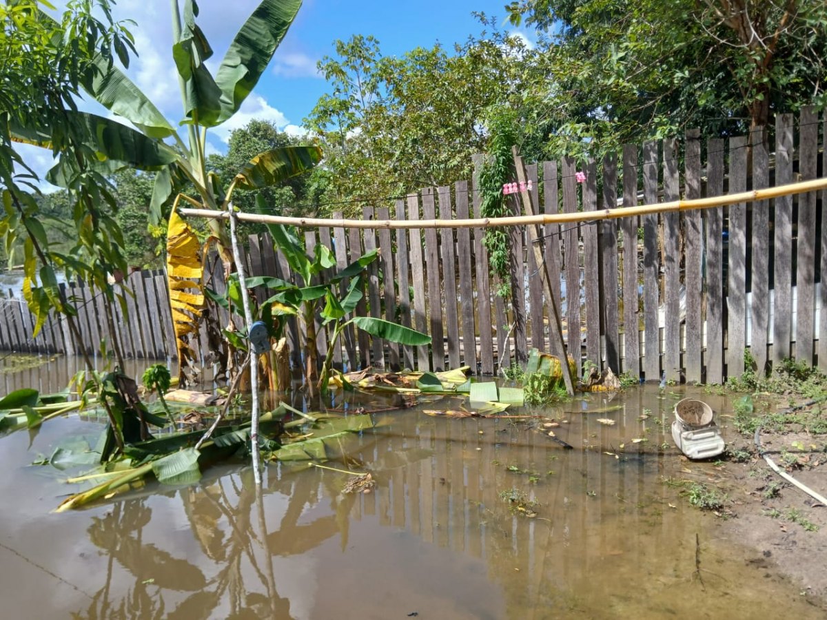 ALERTA LARANJA: Chuvas intensas na Bolívia causam cheias em Rondônia