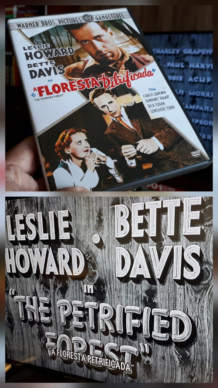 A grande chance de Humphrey Bogart - Por Humberto Oliveira