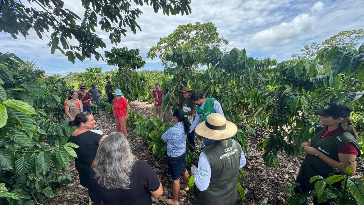 EXPERIÊNCIA: Produtora premiada recebe produtores em conexão técnica feita pela Faperon/Senar