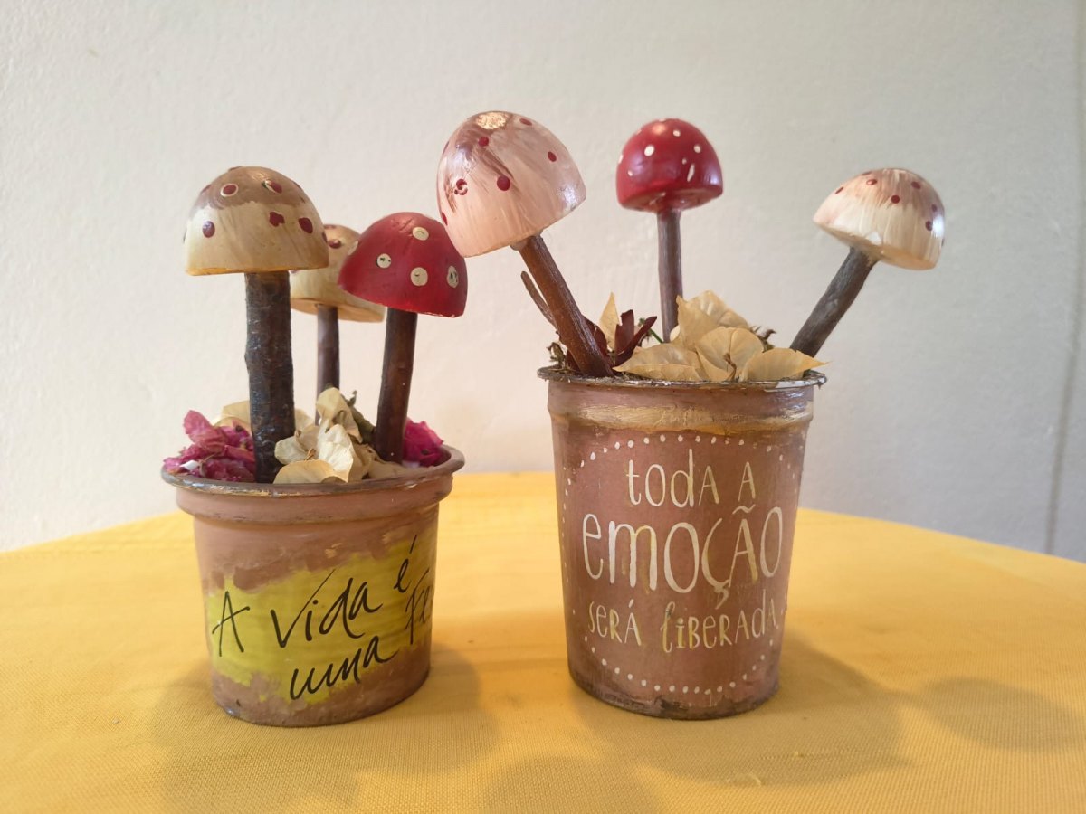 EM PORTO VELHO: Feira Sustentável Agrotropical reúne produtores, artesãos e atrações culturais 