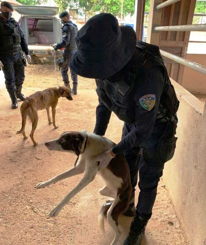 MAUS-TRATOS: Canil irregular funcionando dentro do Parque de Exposições é fechado pela PM