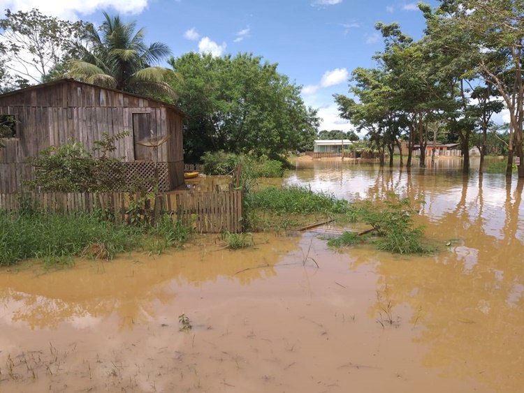 PREOCUPANTE: Enchente faz rio Jaru transbordar e invadir residencias