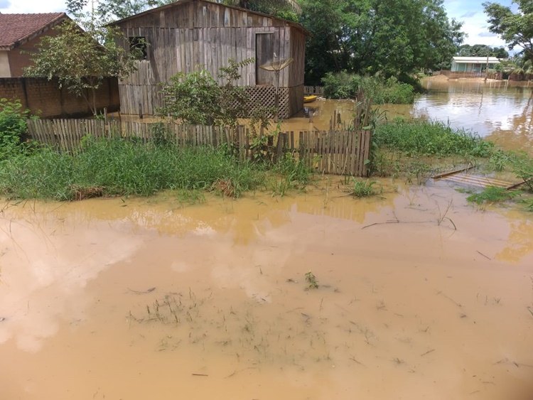 PREOCUPANTE: Enchente faz rio Jaru transbordar e invadir residencias