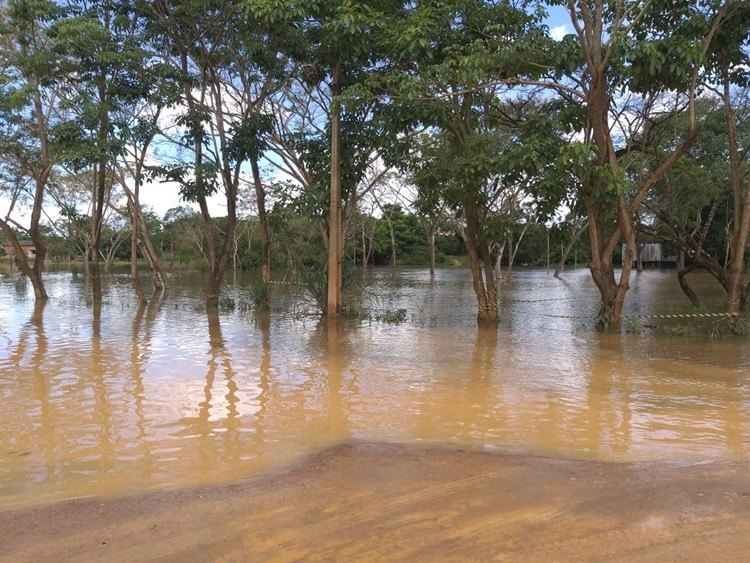 PREOCUPANTE: Enchente faz rio Jaru transbordar e invadir residencias