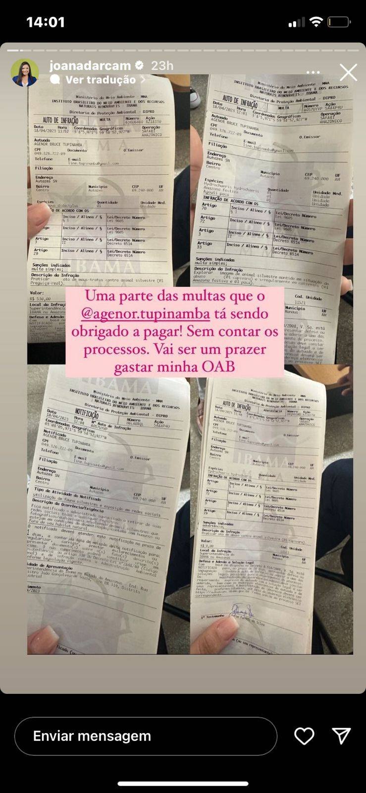 CONTRASSENSO: Ibama também determina entrega de papagaio de influenciador 