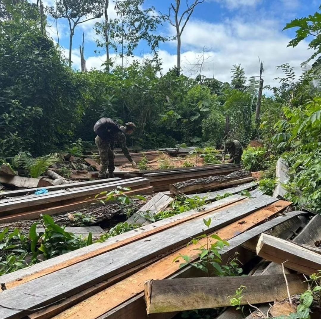 CRIME AMBIENTAL: Operação combate ações criminosas que causaram prejuízos de R$ 19 milhões 