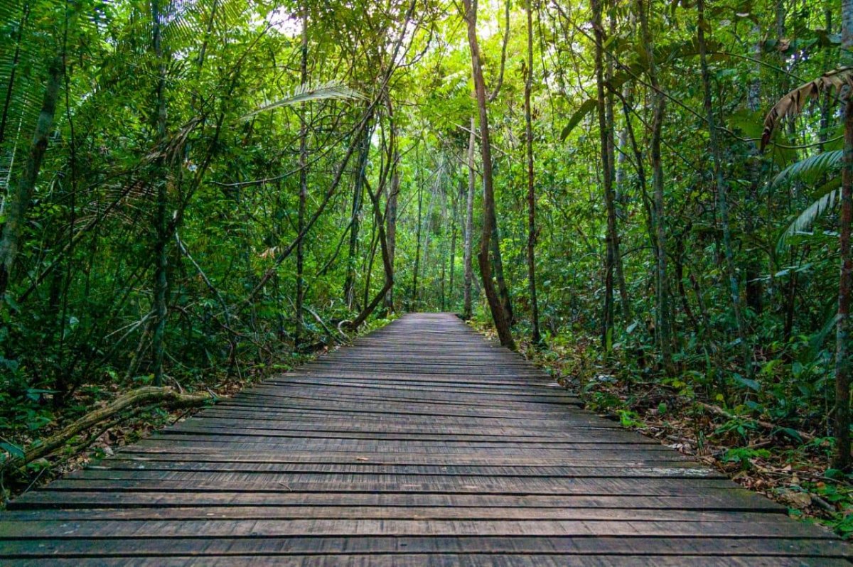 TURISMO:  Amazônia Adventure fará nova excursão ao Vale das Cachoeiras