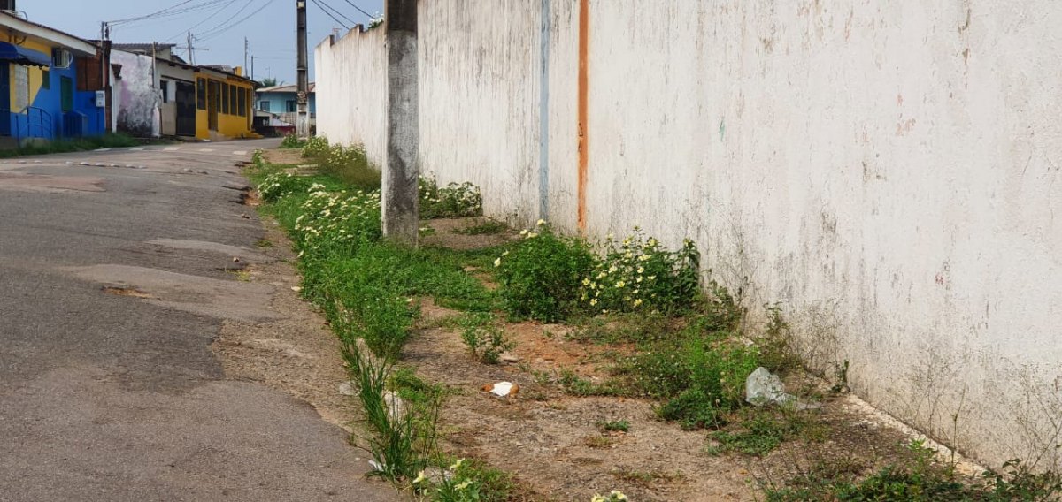 ABANDONADO: Cemitério dos Inocentes está sem manutenção e lixo se espalha no local 