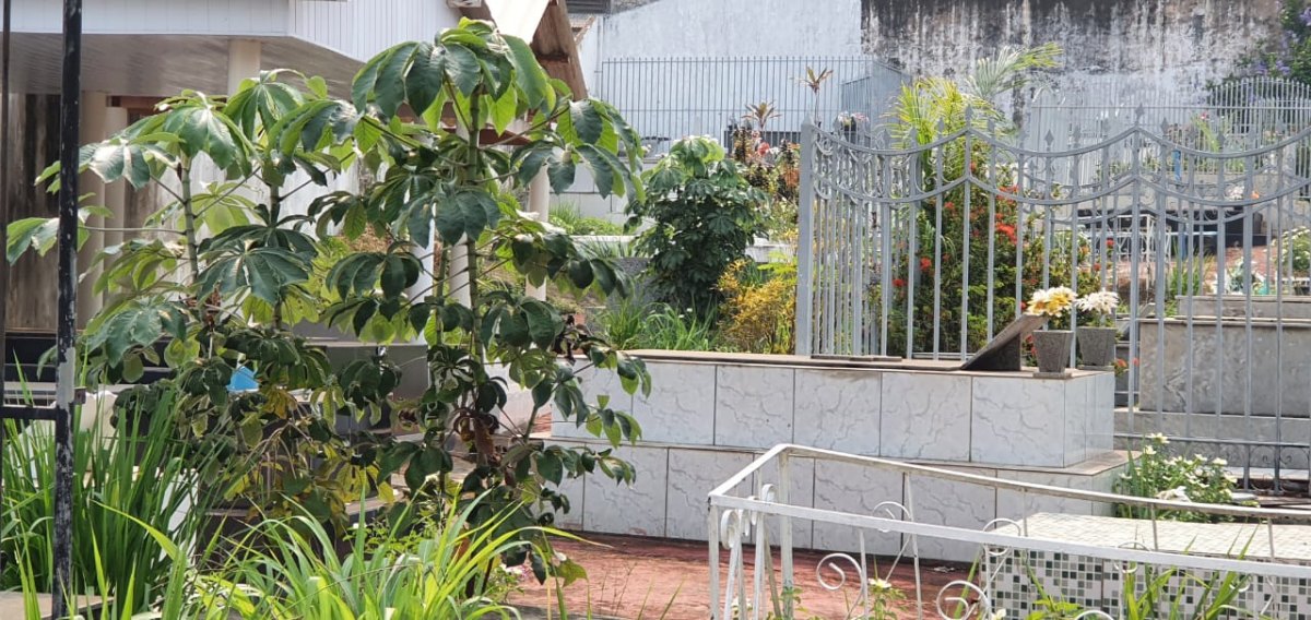 ABANDONADO: Cemitério dos Inocentes está sem manutenção e lixo se espalha no local 
