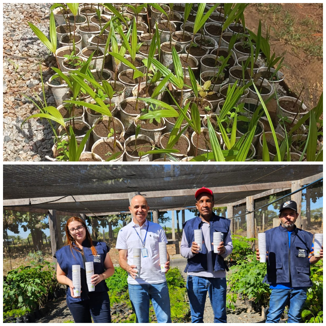 SUSTENTABILIDADE: Projeto socioambiental do TJRO é apresentado em evento nacional