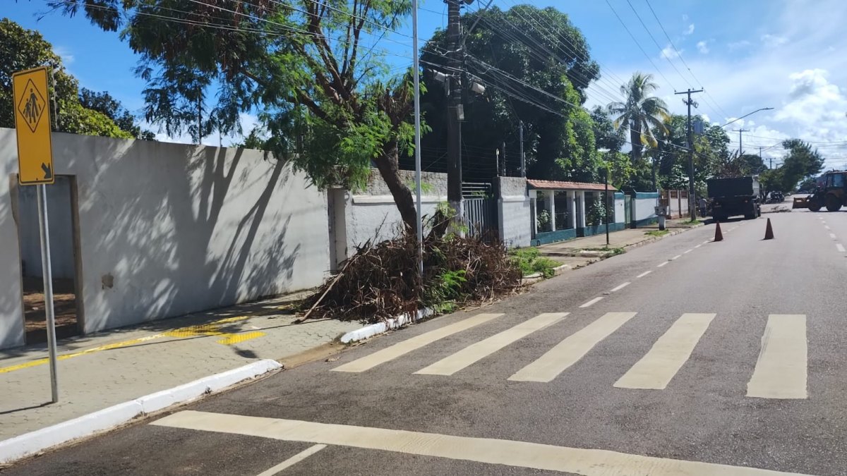 ZELADORIA: Árvores são podadas e empresa deixa entulho no Centro de Porto Velho