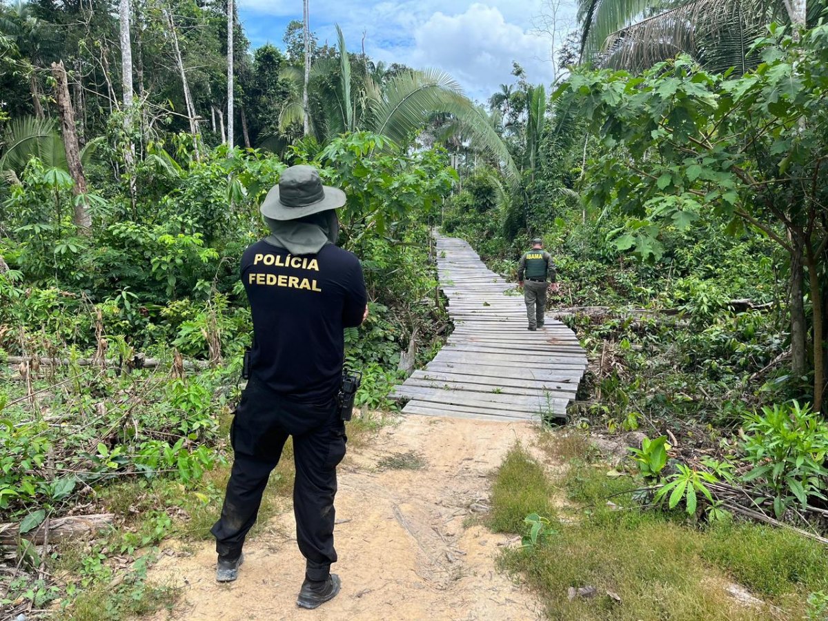 LAGE EM CHAMAS: PF faz operação contra grilagem e incêndio criminoso em terra indígena