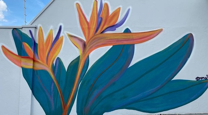 DÂMARIS DA ROSA: ‘Trabalho com a ilustração por ser lúdico e atrair as crianças’, afirma a artista visual 