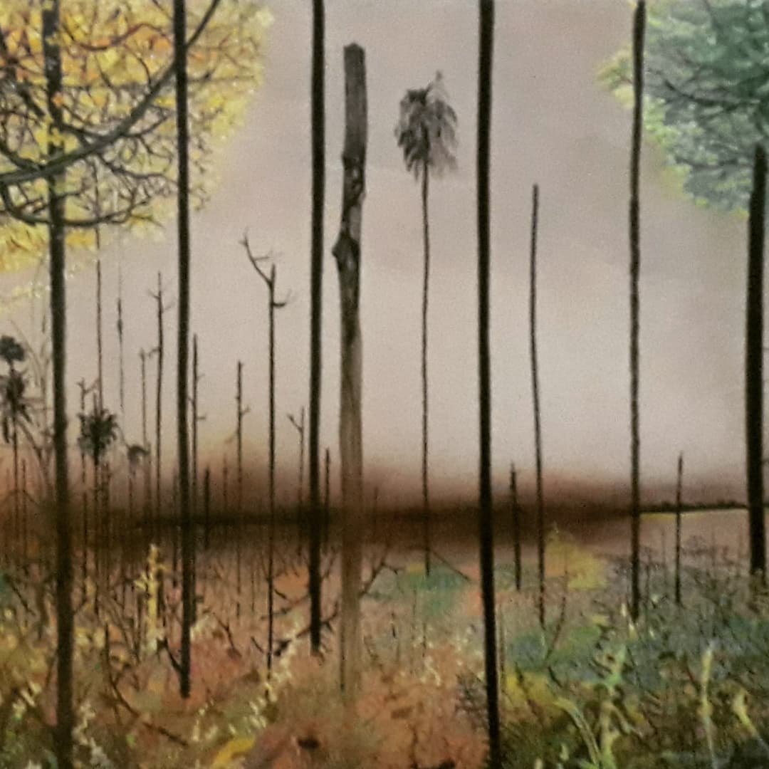 DOCUMENTÁRIO: Filme que aborda a vida e a obra do artista plástico Flávio Dutka é lançado