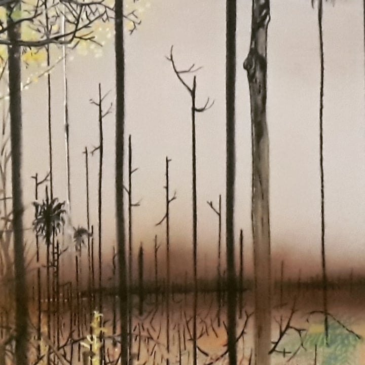 DOCUMENTÁRIO: Filme que aborda a vida e a obra do artista plástico Flávio Dutka é lançado