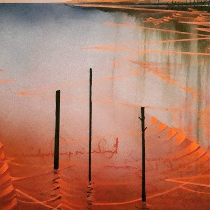 FLÁVIO DUTKA: Artista visual retrata o seu olhar sobre a natureza na mostra Tons de Beira, na Ivan Marrocos