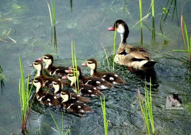 BELEZAS: Turismo de Contemplação pode movimentar interior de Rondônia