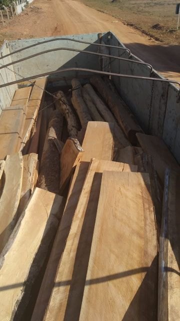 CABIXI: Sem documentos, caminhão é apreendido transportando madeira ilegal