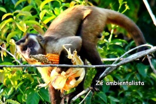 BELEZAS: Turismo de Contemplação pode movimentar interior de Rondônia