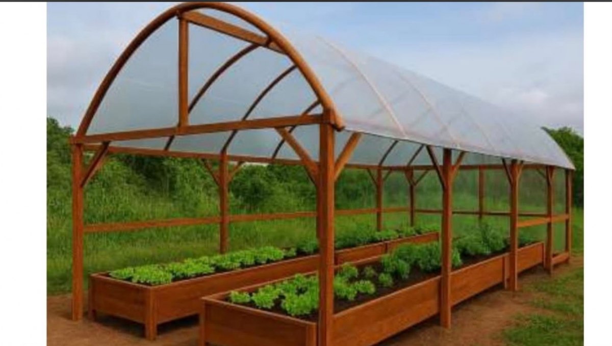 SOCIAL: Projeto apoiado pelo SINJUR avança com capacitação para produção de hortaliças e mudas frutíferas