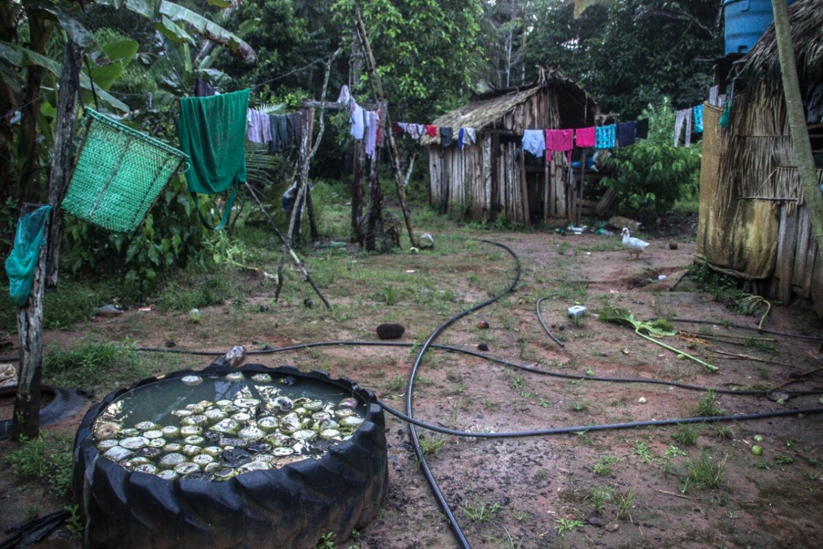 AMAZÔNIA: Madeira de Dentro é a nova exposição da fotógrafa Marcela Bonfim