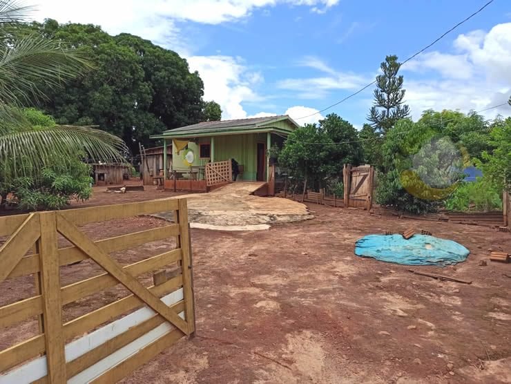 SANGUE FRIO: Filha mata pai com facada no pescoço e depois liga para a polícia