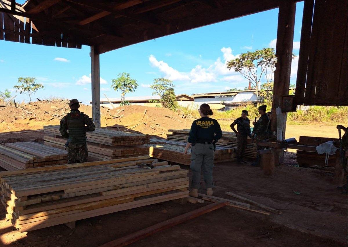 CRIMES AMBIENTAIS: 17ª Brigada divulga resultados parciais da Operação Curaretinga II