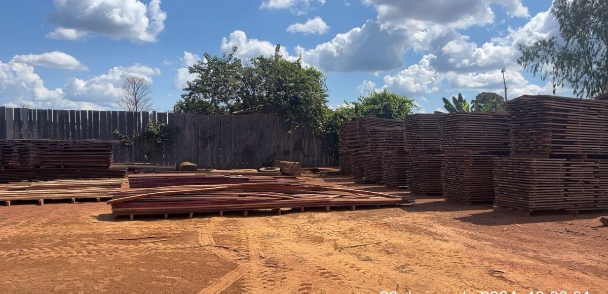 CRIMES AMBIENTAIS: 17ª Brigada divulga resultados parciais da Operação Curaretinga II