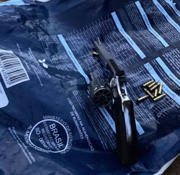 CRIMES AMBIENTAIS: 17ª Brigada divulga resultados parciais da Operação Curaretinga II