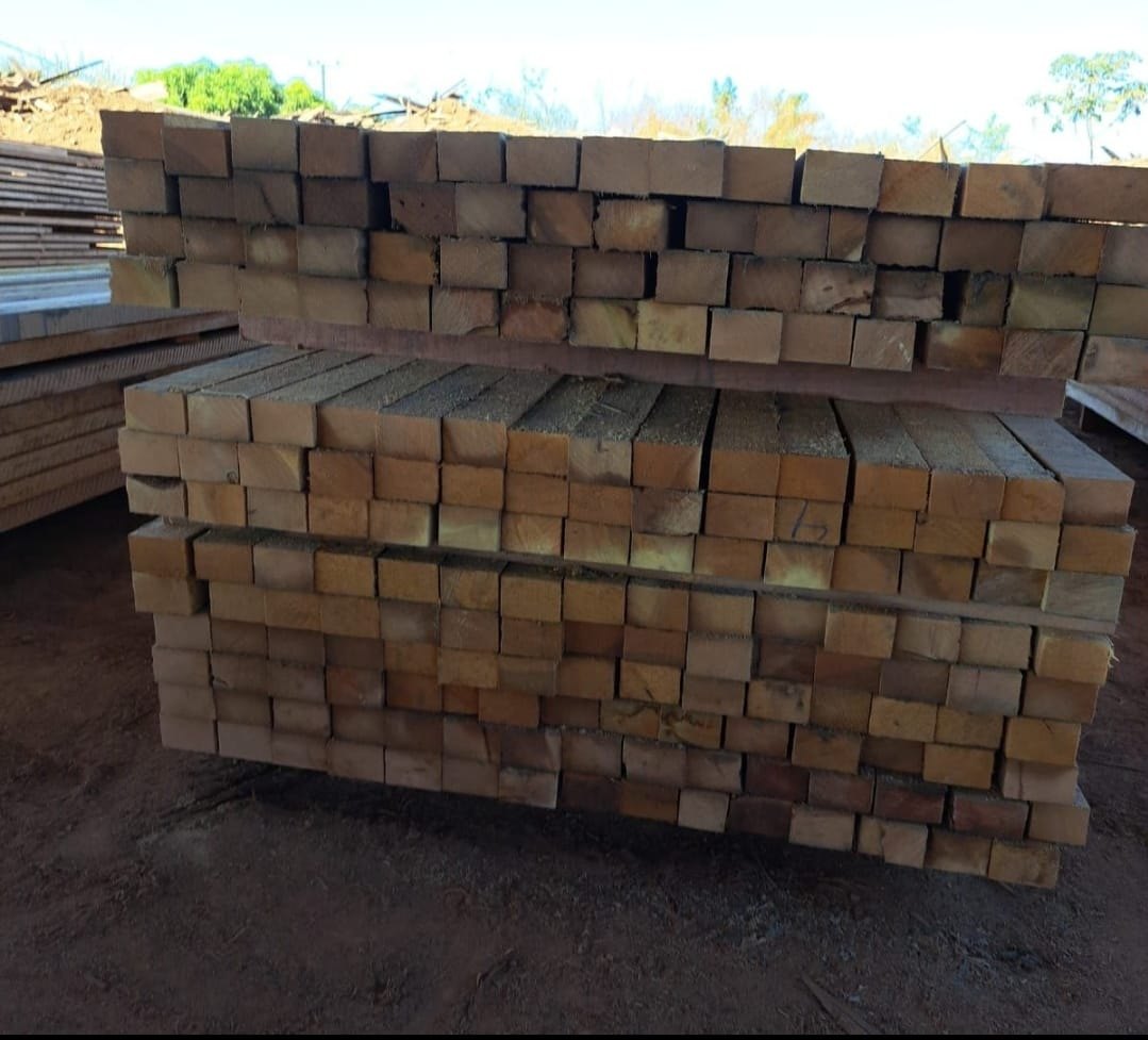 CRIMES AMBIENTAIS: 17ª Brigada divulga resultados parciais da Operação Curaretinga II