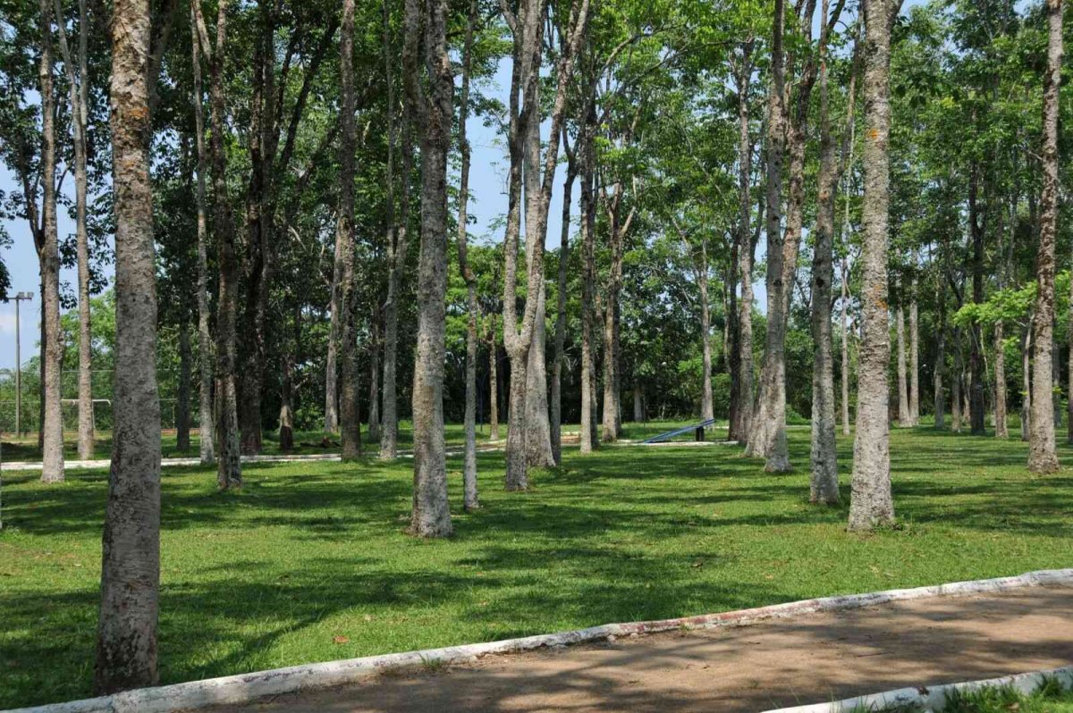 TURISMO: Parque Circuito é excelente opção de lazer na capital