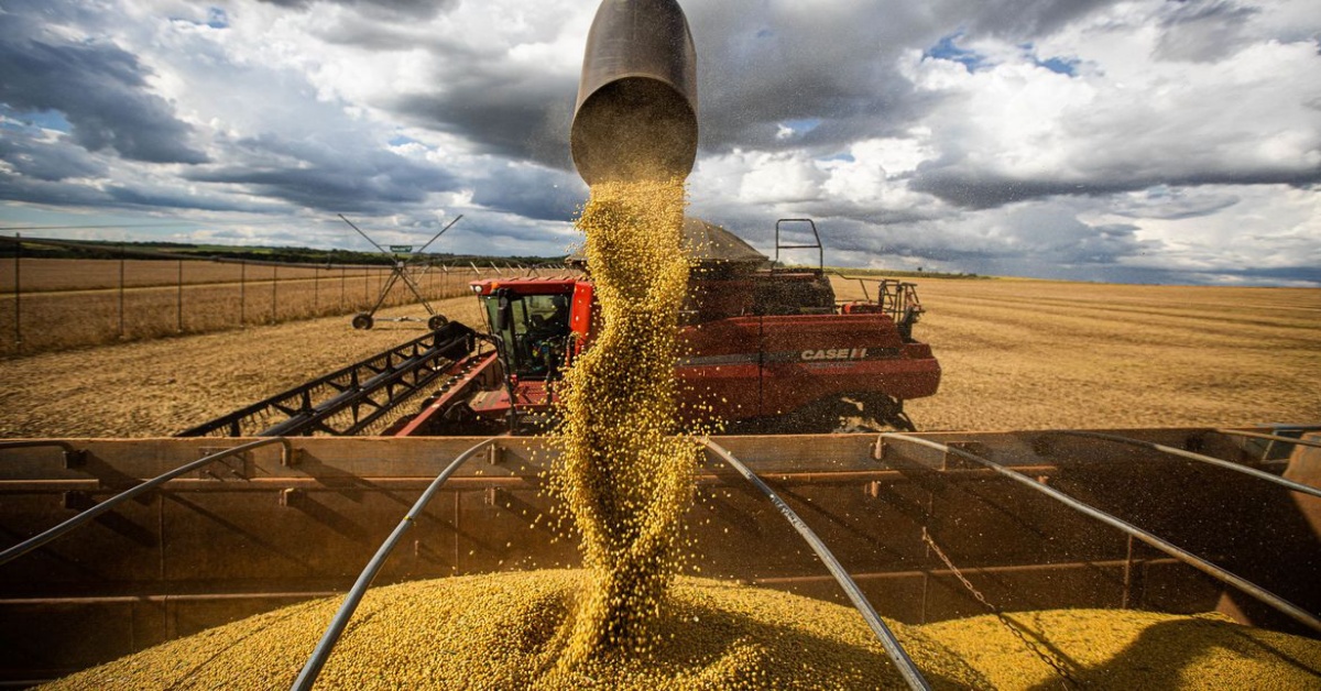 PRODUÇÃO: Conab estima 284,4 milhões de toneladas de grãos para safra 2021/22