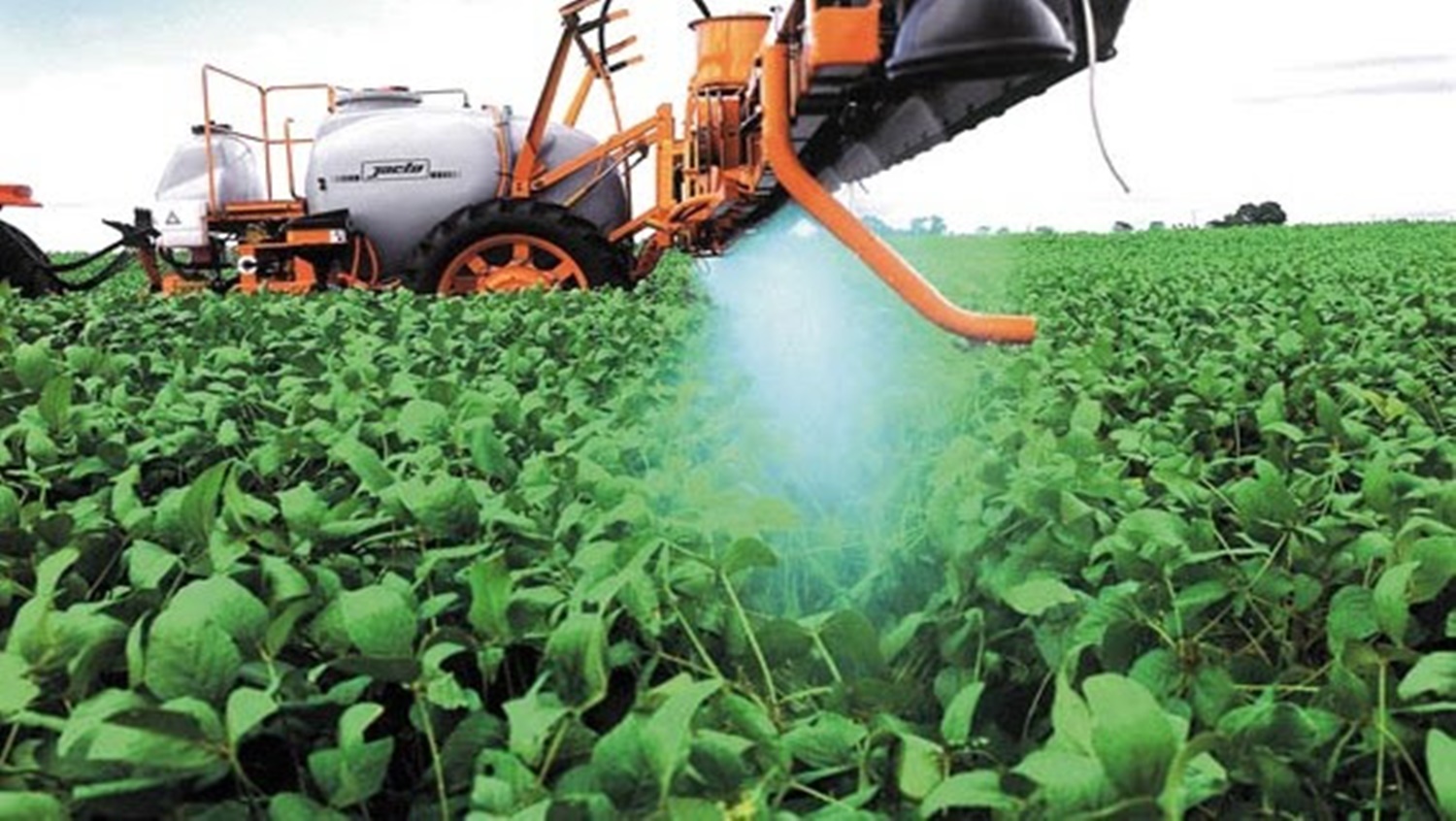 NATUREZA: Controle biológico de pragas avança com o uso de parasitoides