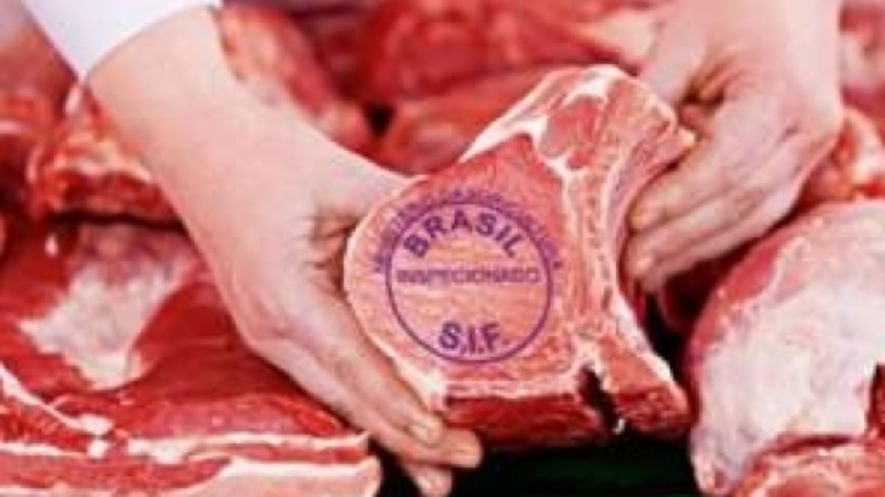 BOI: Exportação de carne bovina alcança 35,4 mil toneladas no começo de janeiro/22