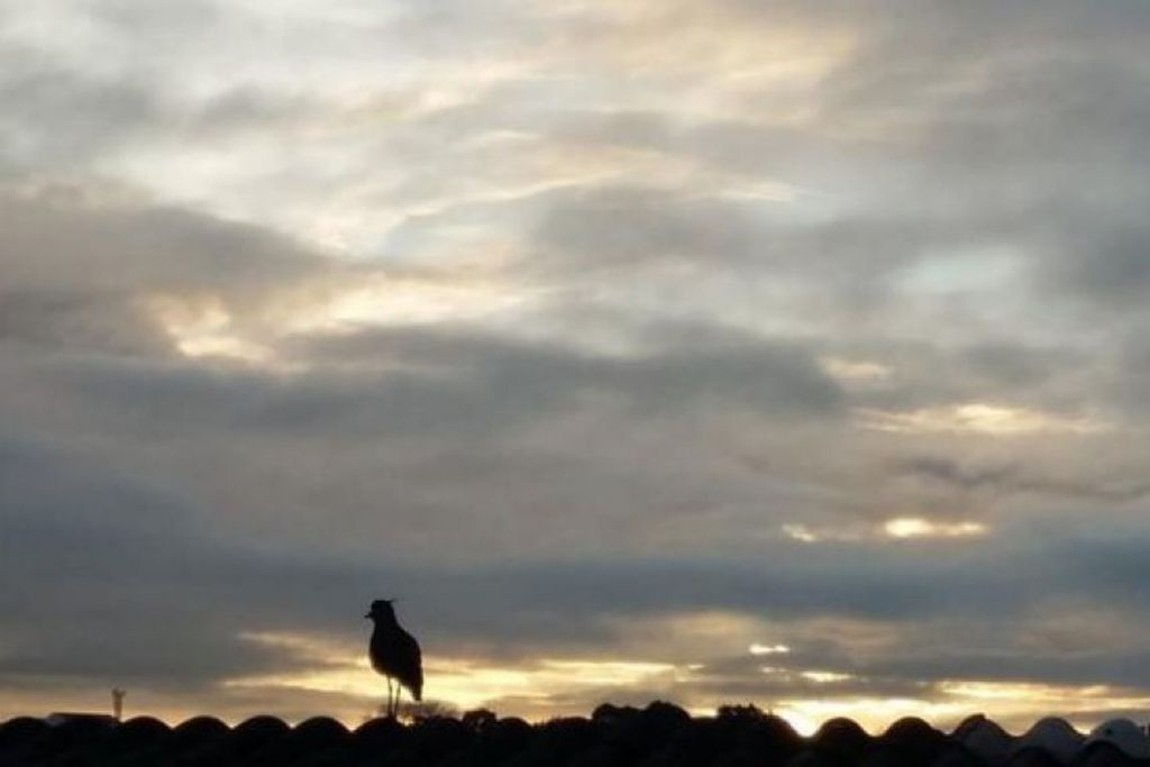 CALOR: Quarta-feira (19) será de dia abafado em Rondônia, prevê Sipam