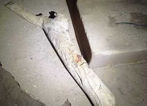 COVARDIA: Mulher é atacada a pauladas pelo irmão dentro de residência 