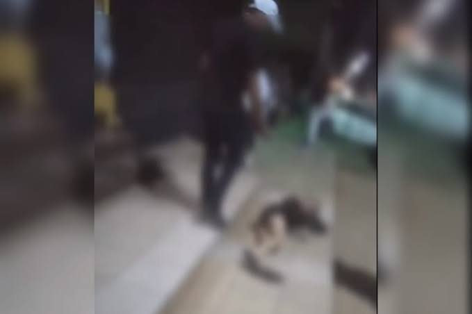 CILADA: Mulher aceita convite do ex  para tentar reconciliação tomando umas e leva surra 